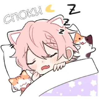 😴