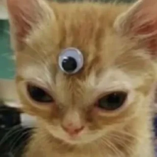 👁