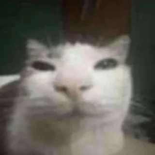 😐