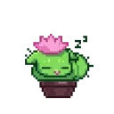 🌵