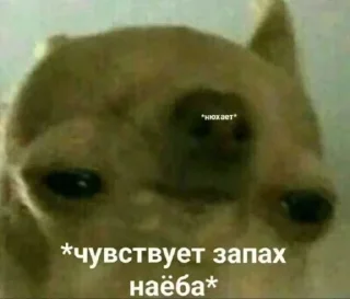 👃