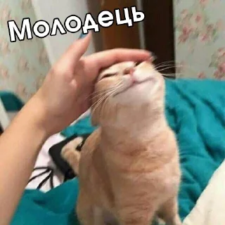 😌