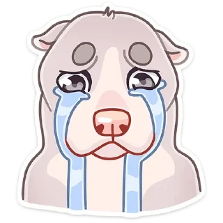 😭