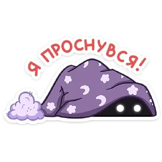 😴