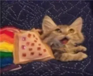 🌈
