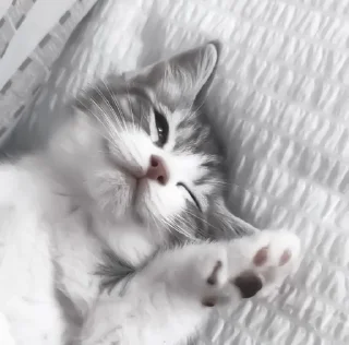 😉