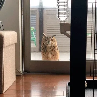 😶