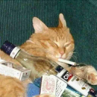 😵