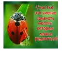 🐞