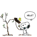 📞