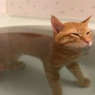 🌊