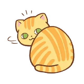 🐱