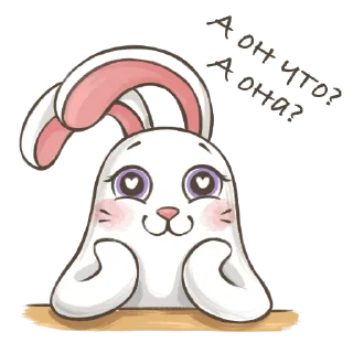 🐰