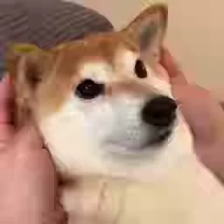 😊