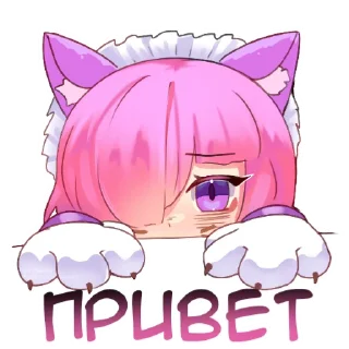 🐱