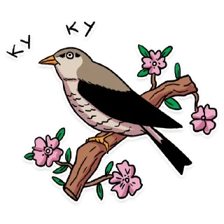 🕊