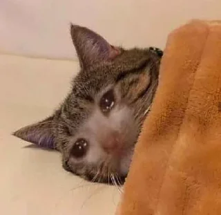 🥺