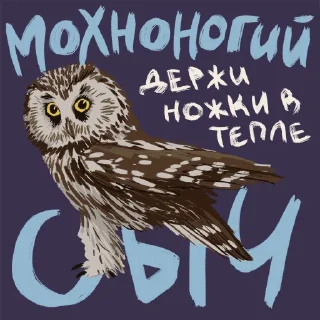 🦉