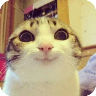 🙂