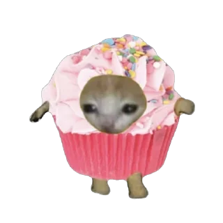 🫥