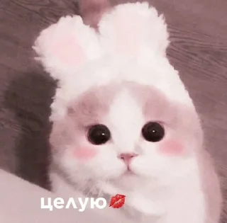 💋