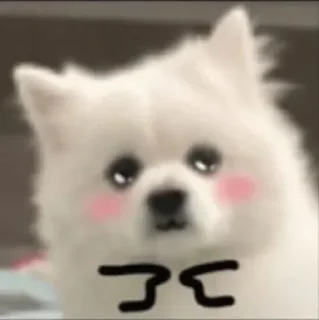 😳