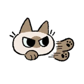 😺
