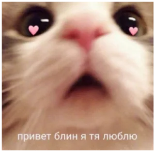 🥱