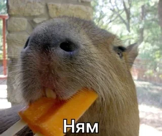 😋
