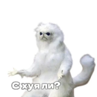 😤