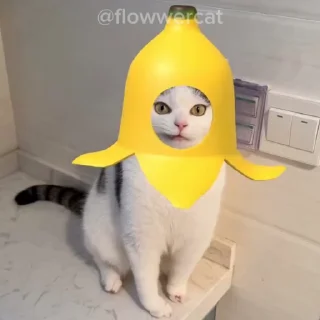 🍌