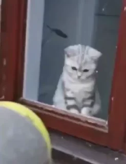 😁