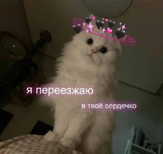 🌚