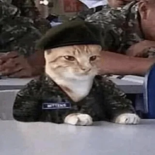 👮‍♂️
