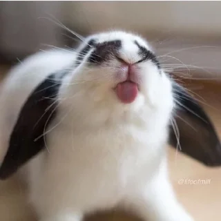 😝