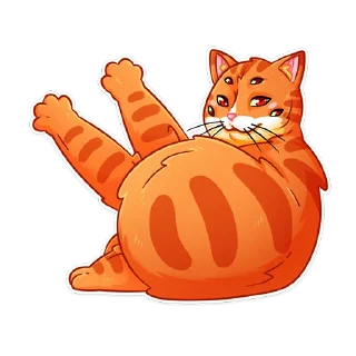 😺