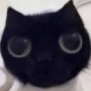 😶