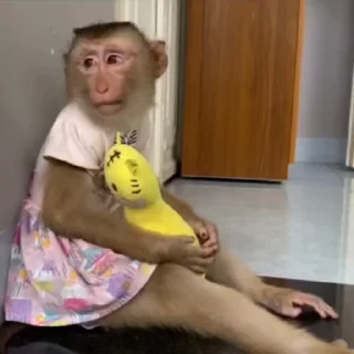 😕