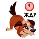 ⏱