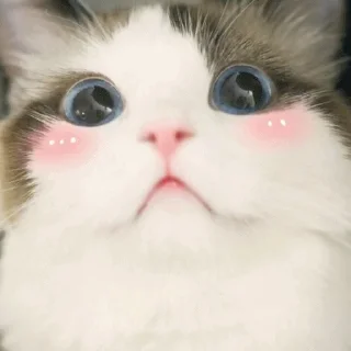 🥺