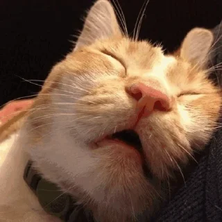 😴