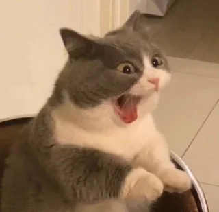 😱