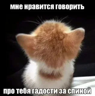 ❔