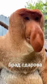 😎