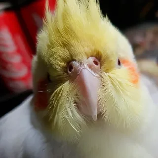 ☺️