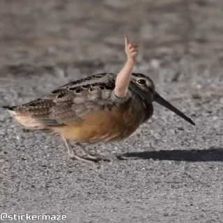 🕺