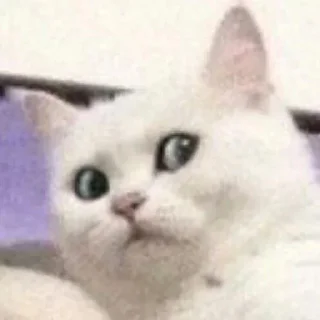 😨
