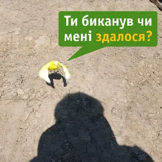🤨