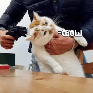🔫