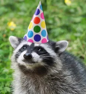 🥳